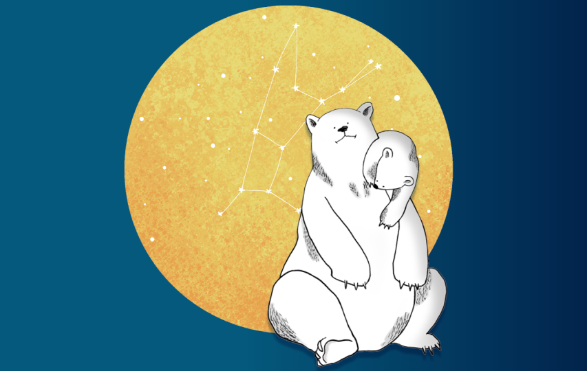 dessin d'ours polaire