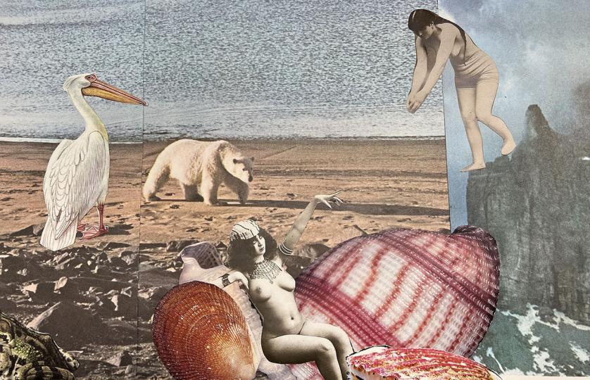 dessin et photo d'une plage avec un pélican une femme nue égyptienne, des coquillages un ours polaire une femme sui va plonger