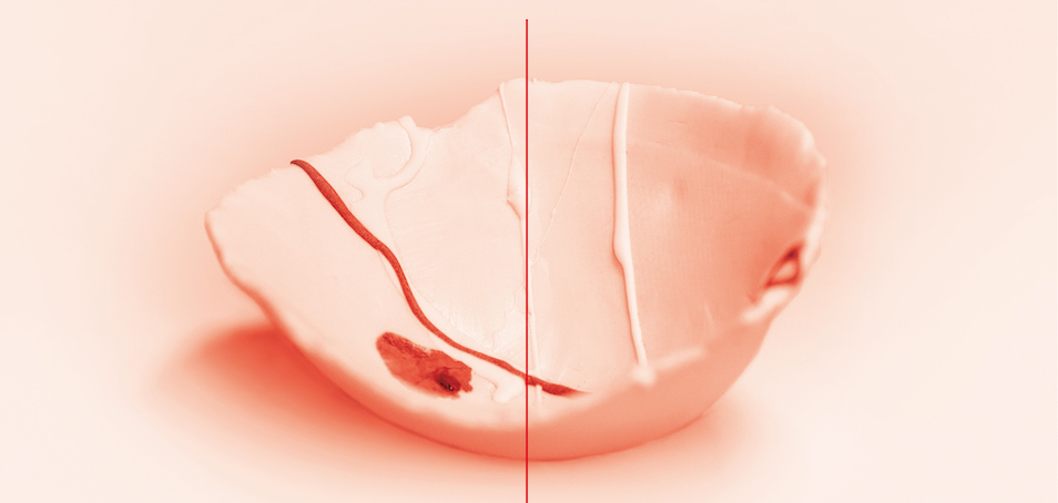 photo d'un plat rond en céramique  ligne rouge et coquelicot sur fond rose pâle 