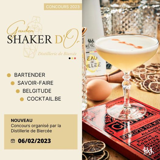 affiche d'une coupe d'un cocktail champagne sur un livre rouge de recettes de cocktails , rondelles de citrons oeuf