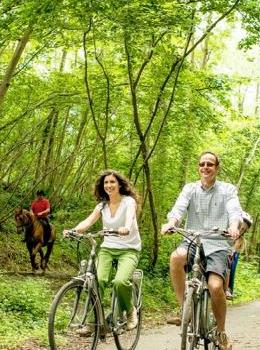 Une forêt bien verte, dun chemin asphalté et des cyclistes
