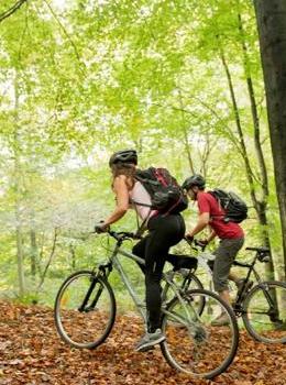 Une forêt en été. Un trio à vélo, et sac à dos... en train de faire du VTT