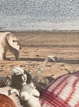 dessin et photo d'une plage avec un pélican une femme nue égyptienne, des coquillages un ours polaire une femme sui va plonger