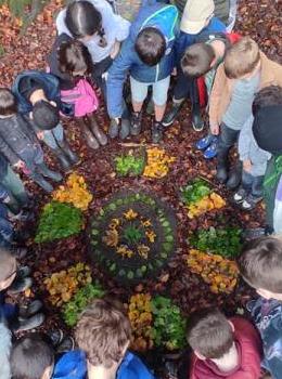 photo aérienne d'un groupe d'enfant en cercle dans une foret autour de feuilles